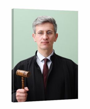 Portrait of judge with mallet on green background