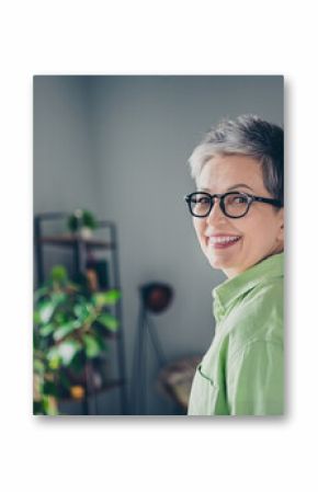 Profile side photo of aged business lady attorney company owner tooth beaming smiling wear green casual shirt modern office indoors