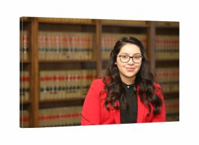 Young attractive professional woman, woman in law library,/