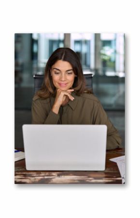 Smiling busy mature middle aged professional business woman, female company manager executive or entrepreneur looking at laptop computer in office working on online financial data sitting at desk.
