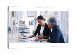Senior woman, attorney and reading document in office for planning, debt settlement and legal guidance. Elderly person, lawyer and paperwork for retirement fund, asset protection and will information
