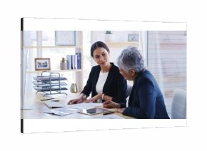 Elderly woman, lawyer and document in office for planning, debt settlement and legal guidance. Senior person, attorney and reading paperwork for retirement fund, asset protection and will information