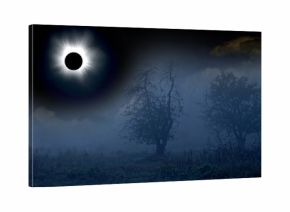 Total solar eclipse above the garden