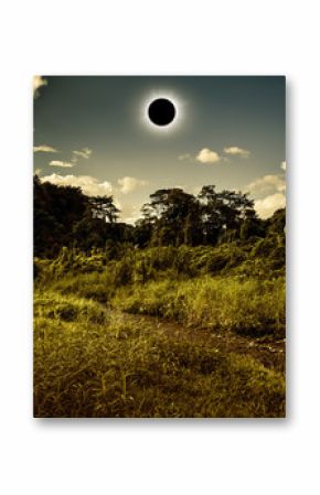 Scientific natural phenomenon. Total solar eclipse glowing on sky in forest.