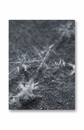 Macro of snow