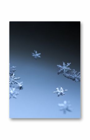 Snow on glass