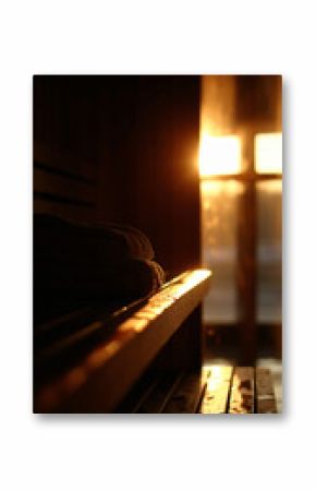 Warm, shine sauna room with wooden bench