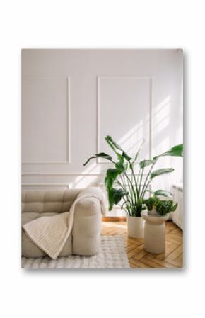 Modern white interior featuring a comfortable couch and elegant greenery