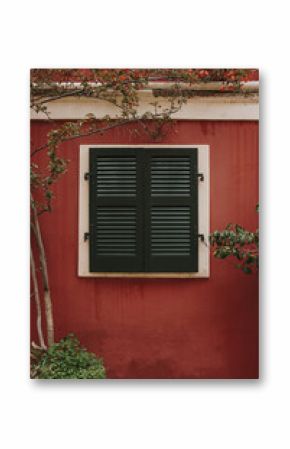 Vintage Green Window Shutters on Red Wall