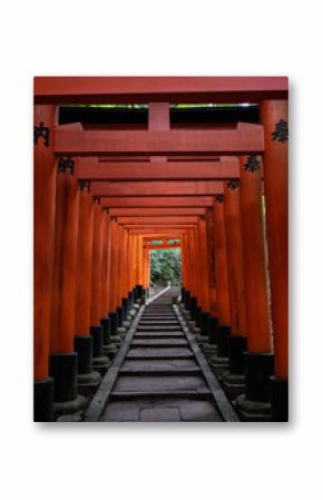 tori gates at a japanese shrine in kyoto japan