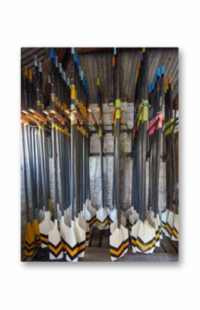 sport rowing oars and kayak on a wall