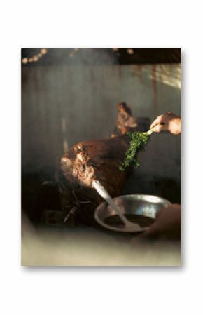 Close-up of seasoning whole roasted meat on spit