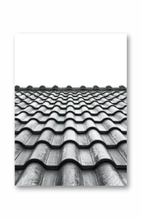 Patterned grey tiled roof recedes to white sky