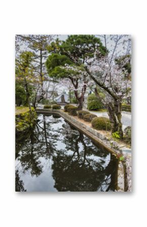 Serene reflection of cherry blossoms and Japanese pine trees in a tranquil pond at Kiyomizu-dera Temple, Kyoto.  The image captures the essence of Japanese spring.