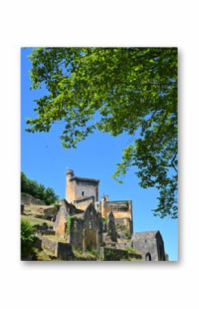 FRANCE, DORDOGNE, PERIGORD NOIR, LES-EYZIES-DE-TAYAC, CHATEAU DE COMMARQUE IN SUMMER
