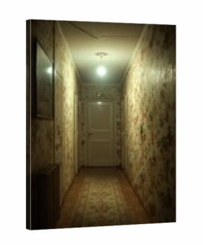 A dimly lit hallway with vintage wallpaper