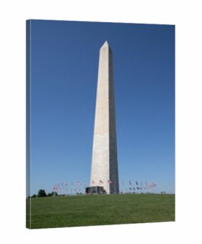 A view of the Washington monument in the summertime