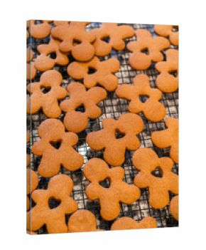 Cooling Gingerbread Cookies on Wire Rack in Modern Kitchen