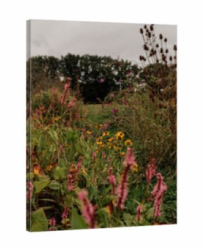 Sunflowers and wildflowers blooming under cloudy sky