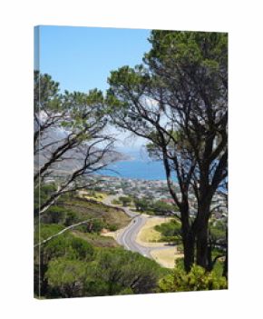 Winding Road Overlooking the Atlantic Coast in Cape Town