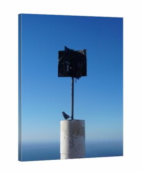Solitary Bird on Summit Marker Overlooking the Ocean in Cape Town