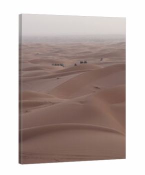 Camel riding in Sahara desert