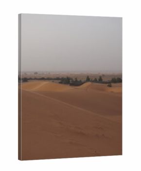 Orange sand dunes in Sahara desert