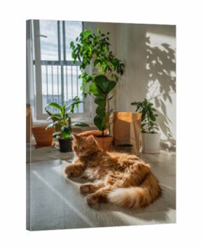 Ginger cat enjoying a moment of tranquility and warmth, resting on a wooden floor, bathed in a bright sunbeam, creating a cozy and peaceful domestic scene with green houseplants near a window
