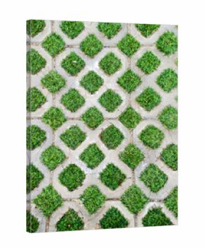 An abstract view of a geometric pattern of green grass and concrete pavers. The repeating diamond shapes create a unique visual texture.