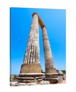 Temple of Apollo ruins at Didyma ancient sanctuary in Didim city in Turkey