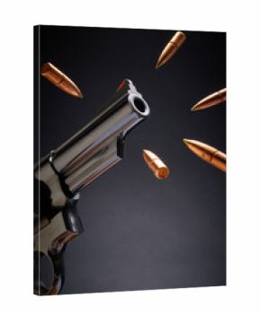 Gun control, fighting fire with fire