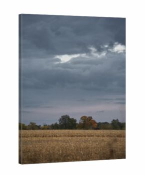 Autumn field with storm clouds