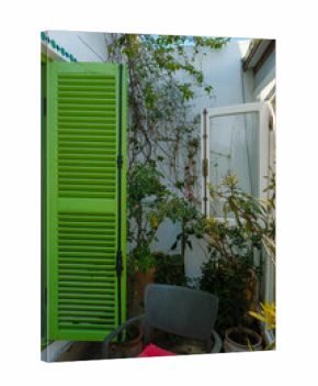 Small green garden in Tetouan, Morocco, surrounded by lush plants and traditional house windows, reflecting peaceful local lifestyle.