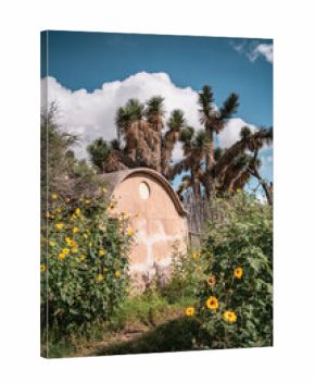 Old building surrounded by foliage in Mexican desert