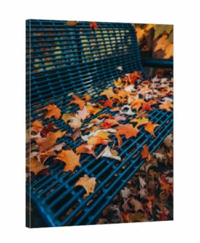 Colorful fallen maple leaves covering blue bench on fall day.