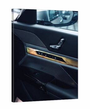 Detailed view of a car interiors door panel featuring stylish design elements and modern controls