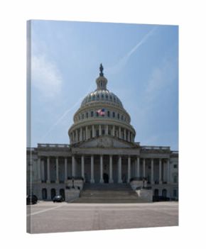 Washington DC skyline. Senate and House USA building. USA government seat in District of Columbia. The Capitol building. Congress in Washington, DC. The Capitol in Washington, DC landmark.