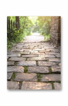 Wet Cobblestone Path with Sunlight and Greenery