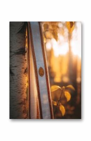 Traditional Lithuanian linen sash with amber accents on oak leaves, symbolizing heritage and national pride.