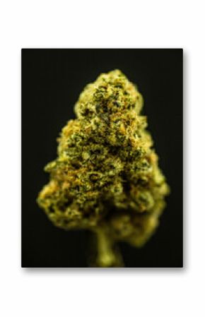 VARIOUS INDOOR CANNABIS PRODUCT SHOTS