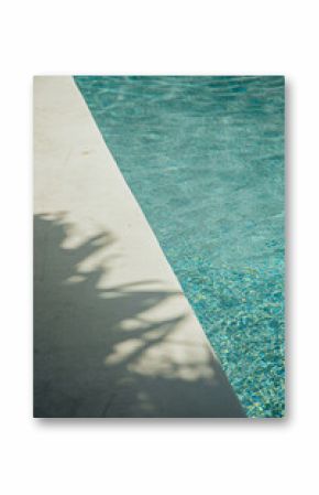 Palm shadows cast on poolside deck beside turquoise pool water
