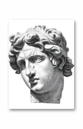 PNG Antique statue head of greek sculpture illustration classical portrait.