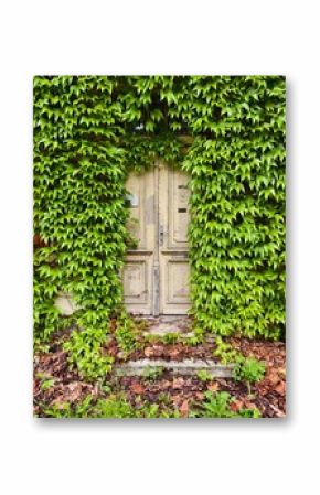 Old door overgrown with green leaves in an abandoned house