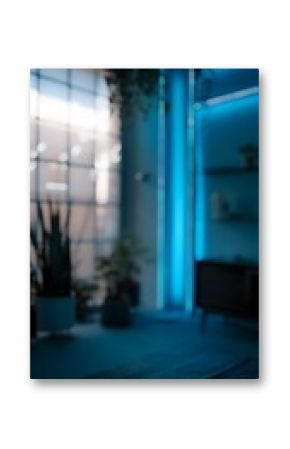 blur background for video