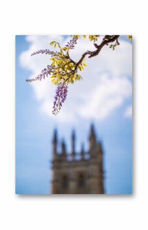 Magdalen Tower, University of Oxford, England, UK.