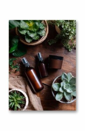 Natural skincare products displayed with potted plants on wooden table showcasing a serene aesthetic