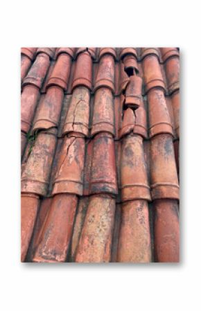 Cracked terracotta roof tiles showing visible wear, aging, and organic growth—ideal for background, restoration, or architectural documentation themes. Old building. Texture