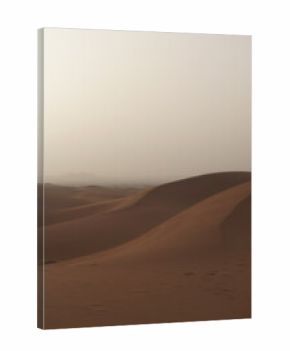 Orange sand dunes in Sahara desert