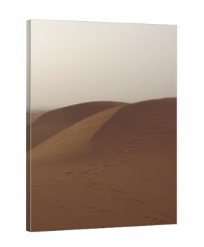 Orange sand dunes in Sahara desert