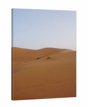 Orange sand dunes in Sahara desert
